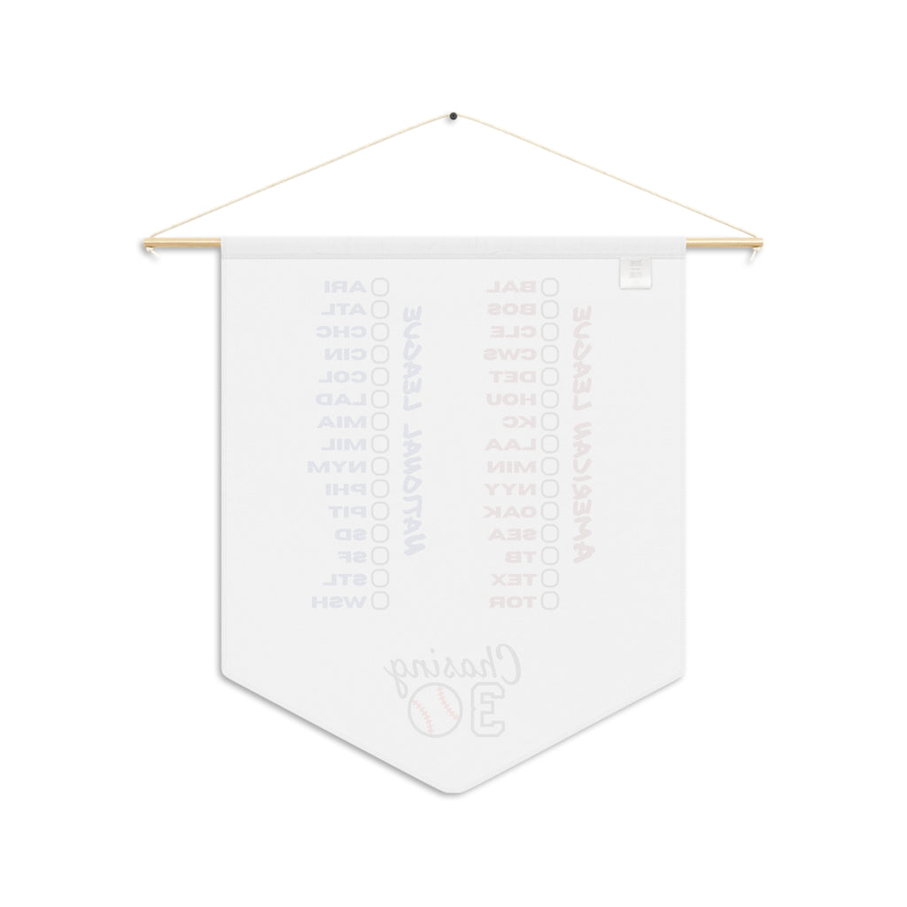 Baseball Stadium Chaser Pennant
