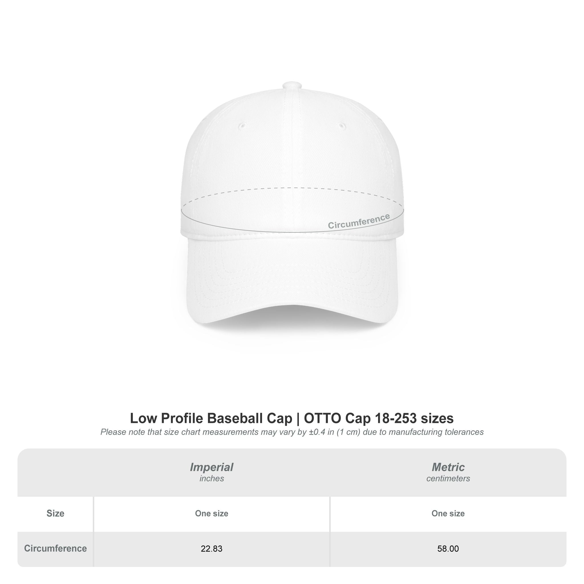 Chase Complete 2026 Low Profile Printed Baseball Cap Chasing 30 MLB Stadiums