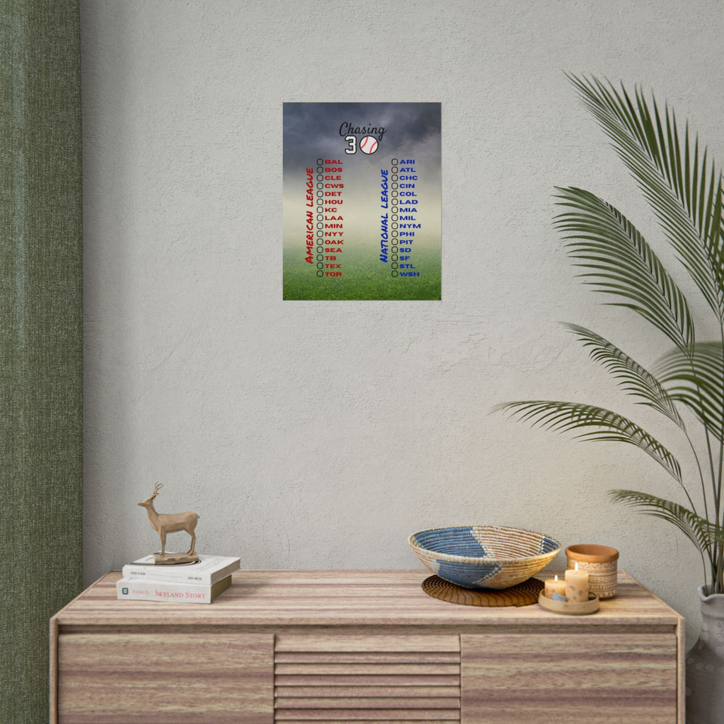 16x20 Baseball Ballpark Chaser Poster