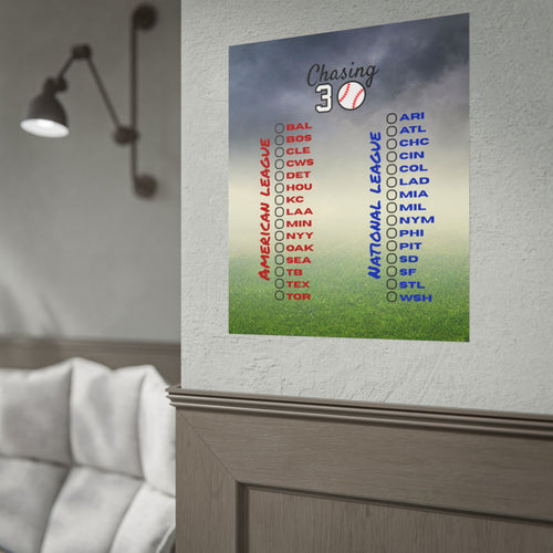 16x20 Baseball Ballpark Chaser Poster