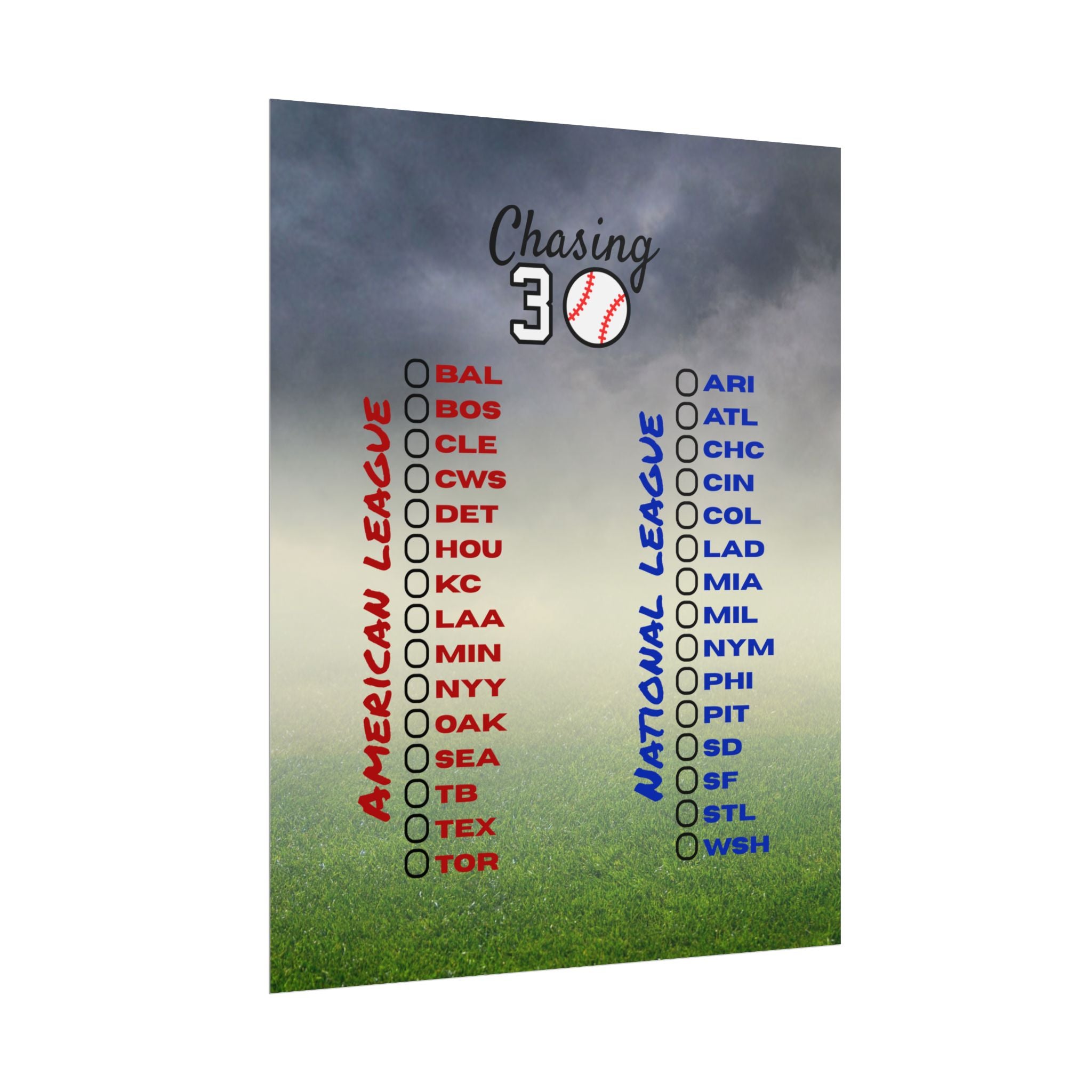 16x20 Baseball Ballpark Chaser Poster